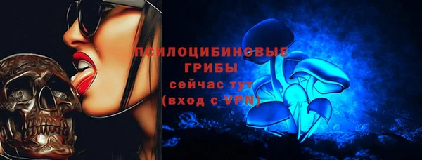 бошки Магас