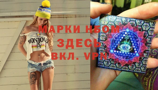 PSILOCYBIN Майский
