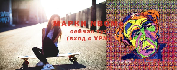 молекула духа Лабытнанги