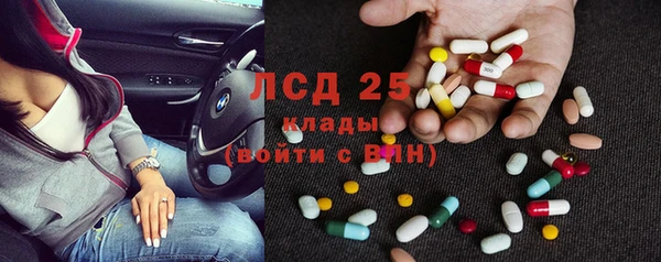 PSILOCYBIN Майский
