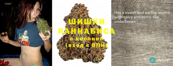 бошки Магас