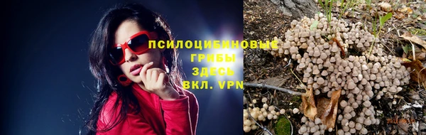 бошки Магас
