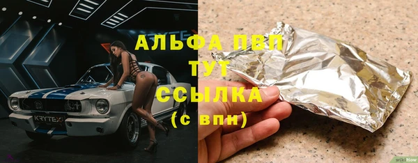 PSILOCYBIN Майский