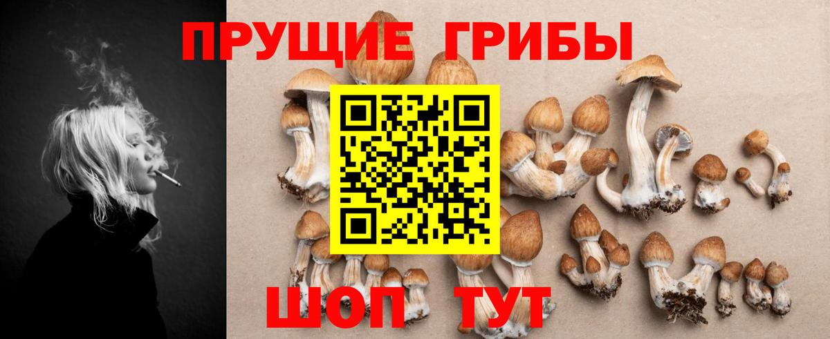 Псилоцибиновые грибы мухоморы  Усть-Кут 